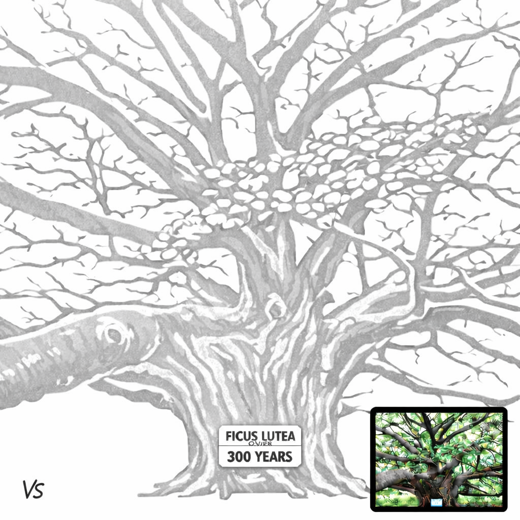 Decorative Tree